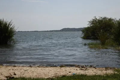 DSC_3339 (Large).JPG